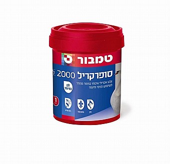 ��������  2000 1 ����